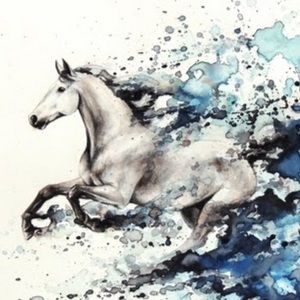 Meet your Posher, Sami